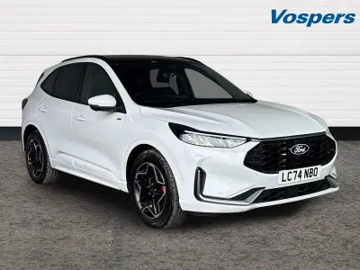 Used Ford Kuga ST-Line X 177 HP (130 kW) 2024 White SUV