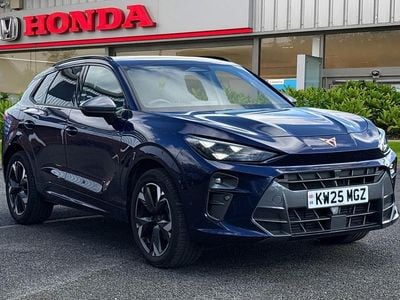 Used Cupra Terramar 2025 Blue SUV