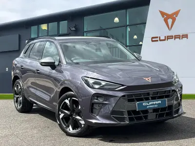 Usado Cupra Terramar
