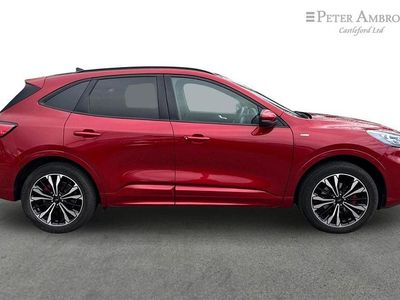 Used Ford Kuga ST-Line X 187 HP (137 kW) 2022 Red SUV