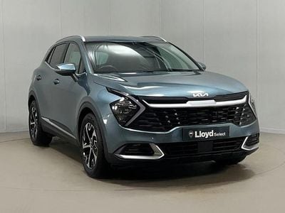 Used Kia Sportage 148 HP (108 kW) 2024 Grey SUV