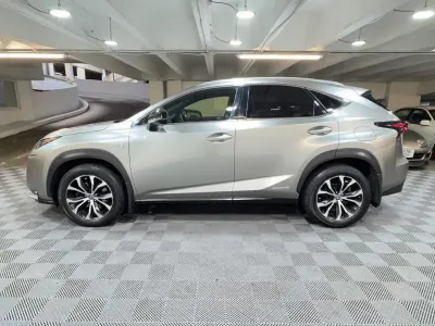 Used Lexus NX300h Sport Line 2016 Silver SUV