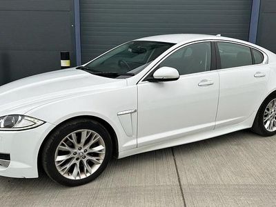 Used Jaguar XF 200 HP (147 kW) 2013 White Sedan