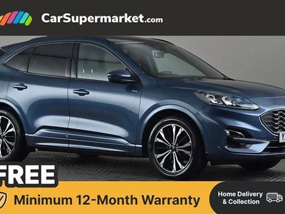 Used Ford Kuga ST-Line X 190 HP (139 kW) 2023 SUV