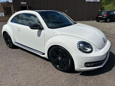 VW Beetle