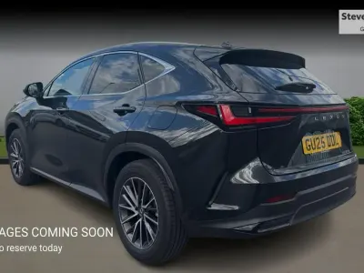 Used Lexus NX350h