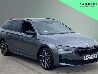 Used Skoda Octavia SportLine 150 HP (110 kW) 2025 Grey Estate