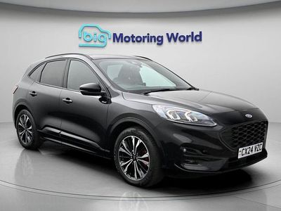 Used Ford Kuga ST-Line X 188 HP (138 kW) 2024 SUV