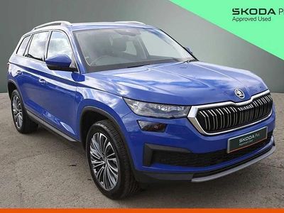 Used Skoda Kodiaq SE L Executive 150 HP (110 kW) 2023 Energy blue SUV