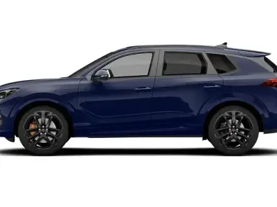 Usado Cupra Terramar