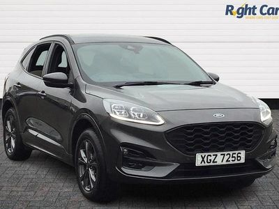 Used Ford Kuga ST-Line 225 HP (165 kW) 2022 Grey SUV