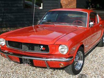 used Ford Mustang fastback