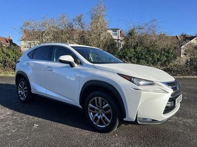 Used Lexus NX300h Luxury Line 2016 White SUV
