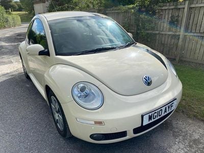 VW Beetle
