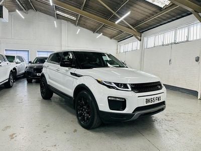 Used Land Rover Range Rover evoque SE 2015 White SUV