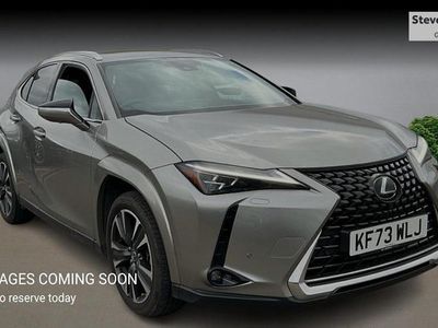 Used Lexus UX 250h 184 HP (135 kW) 2024 SUV