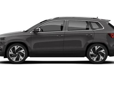 Used Skoda Karoq SE L 150 HP (110 kW) 2023 Grey SUV