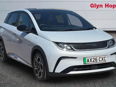 Używany BYD Dolphin