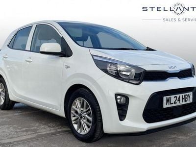 Used Kia Picanto 67 HP (49 kW) 2024 White Hatchback