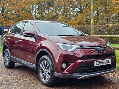 used Toyota RAV4 Hybrid 4 2.5 Vvt-i Business Edition Plus TSS Hybrid 4x4 SUV CATS 2.5