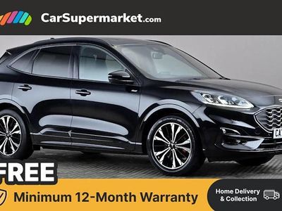 Used Ford Kuga ST-Line X 190 HP (139 kW) 2023 Black SUV