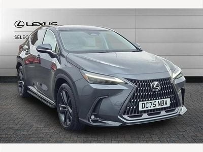 Used Lexus NX450h+ 288 HP (211 kW) 2025 Grey SUV