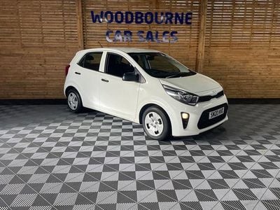 Used Kia Picanto 66 HP (48 kW) 2020 White Hatchback