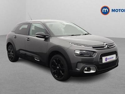 Used Citroën C4 Cactus Flair 110 HP (80 kW) 2019 Hatchback