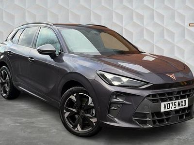 Used Cupra Terramar 200 HP (147 kW) 2025 Mauve/purple SUV