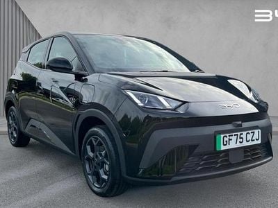 New BYD Dolphin Surf Boost 64 kW (88 HP) 2025 Metallic  polar night black Hatchback