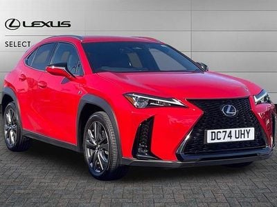Used Lexus UX 300h Sport Design Packet 199 HP (146 kW) 2024 Fuji red SUV