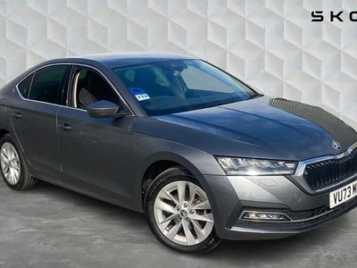 Used Skoda Octavia SE L 150 HP (110 kW) 2023 Graphite grey metallic Hatchback