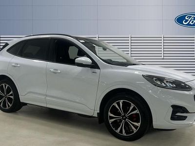 Used Ford Kuga ST-Line X 225 HP (165 kW) 2023 White SUV