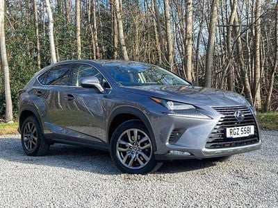 Used Lexus NX300h 2020 Grey SUV