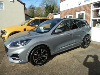Used Ford Kuga ST-Line X 2023 Silver SUV