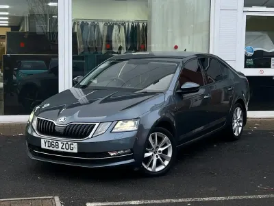 Used Skoda Octavia SE L 150 HP (110 kW) 2019 Grey Hatchback