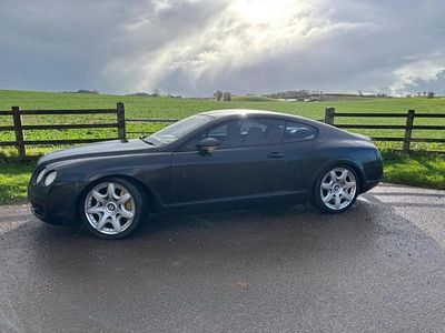 Used Bentley Continental 2005 Black Coupe