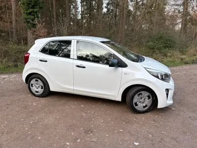 Used Kia Picanto 66 HP (48 kW) 2020 White Hatchback