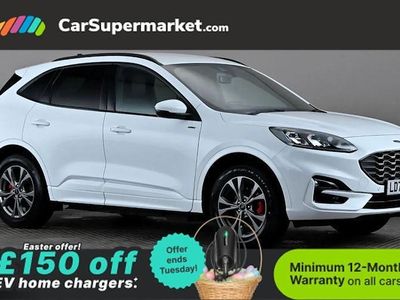 Used Ford Kuga ST-Line 224 HP (164 kW) 2023 White SUV