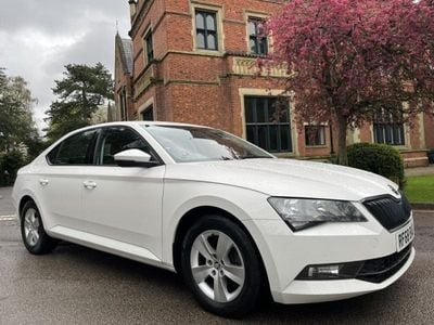 Used Skoda Superb 2026 White Estate