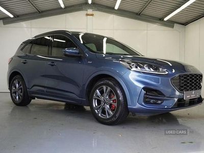 Used Ford Kuga ST-Line 150 HP (110 kW) 2022 Blue SUV