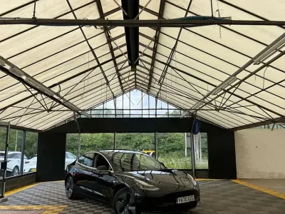 Used Tesla Model 3 Standard Range Plus 239 kW (325 HP) 2020 Sedan