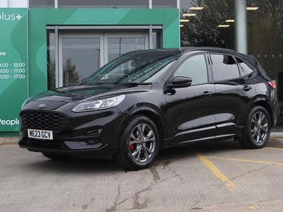 Used Ford Kuga ST-Line 150 HP (110 kW) 2023 Black SUV