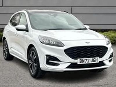Used Ford Kuga ST-Line X 187 HP (137 kW) 2022 White SUV