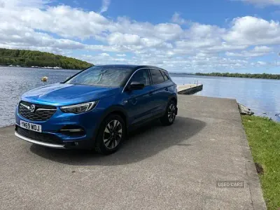 Used Vauxhall Grandland X SRi 130 HP (95 kW) 2020 Blue SUV