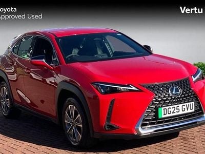 Used Lexus UX 150 kW (204 HP) 2025 SUV