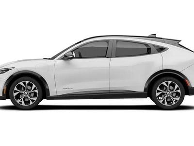 Used Ford Mustang Extended Range 294 HP (216 kW) 2021 Estate