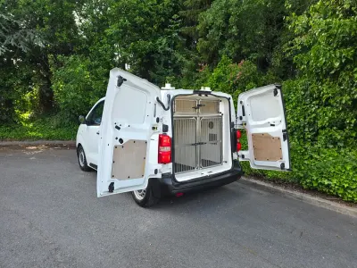 Used Citroën Dispatch