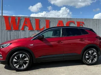 Used Vauxhall Grandland X SRi 131 HP (96 kW) 2020 Red SUV