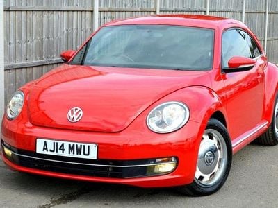 VW Beetle